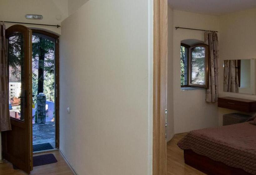 Люкс, Vila Retezat Sinaia