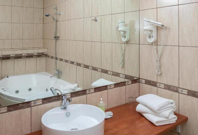 Люкс, Vila Retezat Sinaia