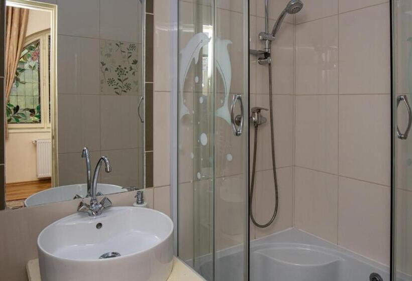 Номер Deluxe, Vila Retezat Sinaia