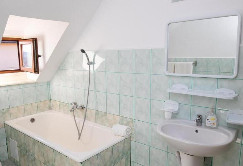 Номер Стандарт, Vila Retezat Sinaia