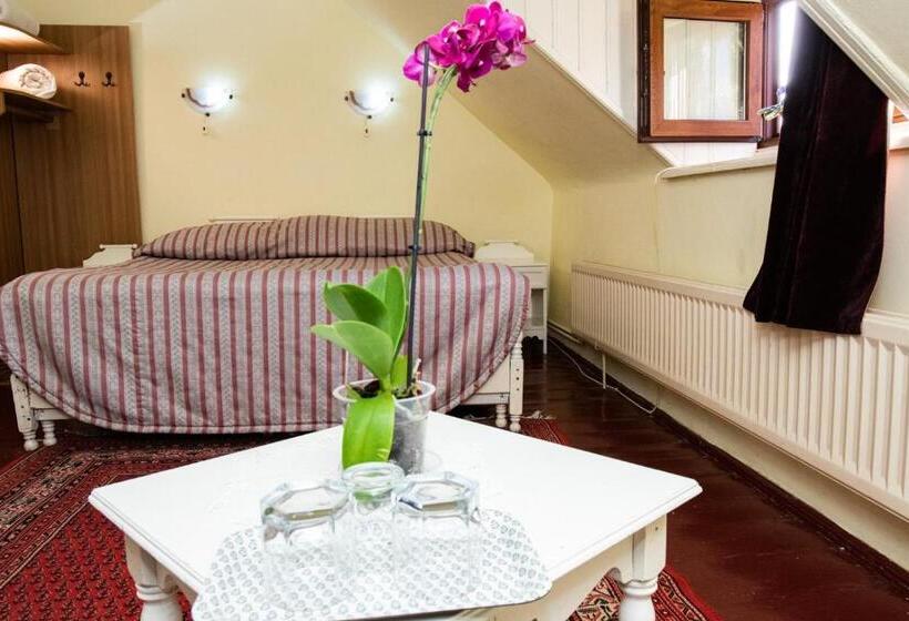 Номер Стандарт Трехместный, Vila Retezat Sinaia