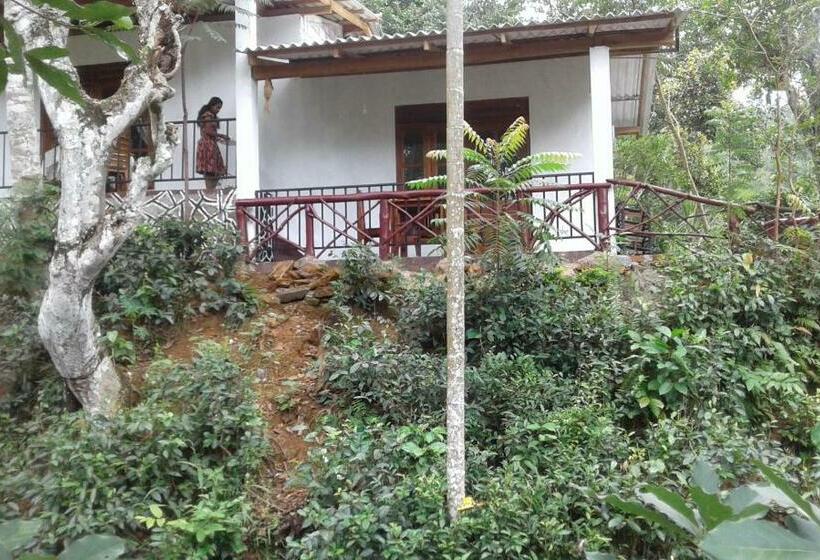 Pokój Deluxe, Mountain Nest