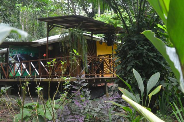 家族用バンガロー, Pachamama Jungle River Lodge   Punta Uva