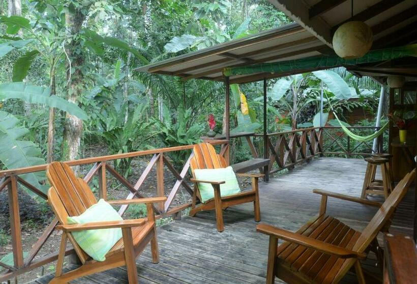 بنگله خانوادگی, Pachamama Jungle River Lodge Punta Uva