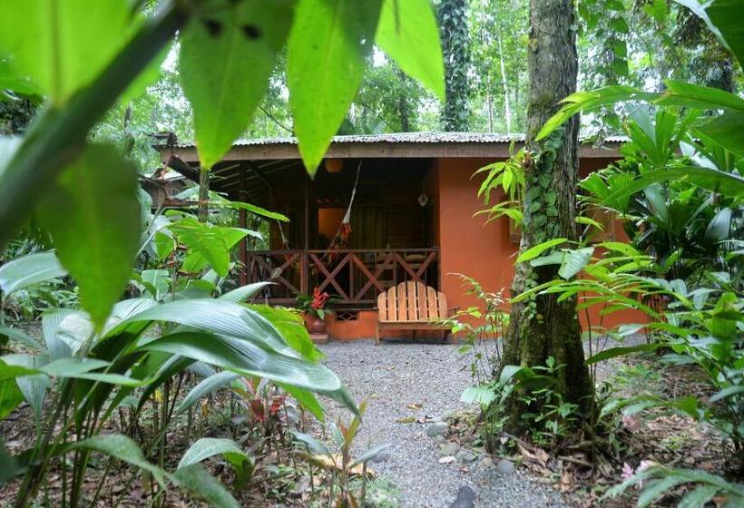 スーペリアー１ベッドルームビラ, Pachamama Jungle River Lodge   Punta Uva