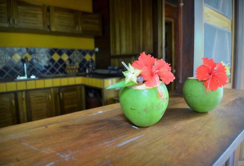 بنگله خانوادگی, Pachamama Jungle River Lodge Punta Uva