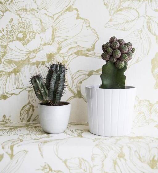 标准间, Serendipity Rooms