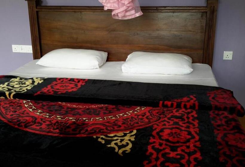 Camera Deluxe, Raveena Guest House