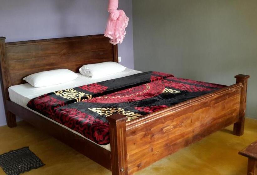 Номер Deluxe, Raveena Guest House