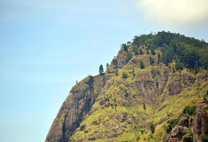 Camera Tripla Standard, Raveena Guest House