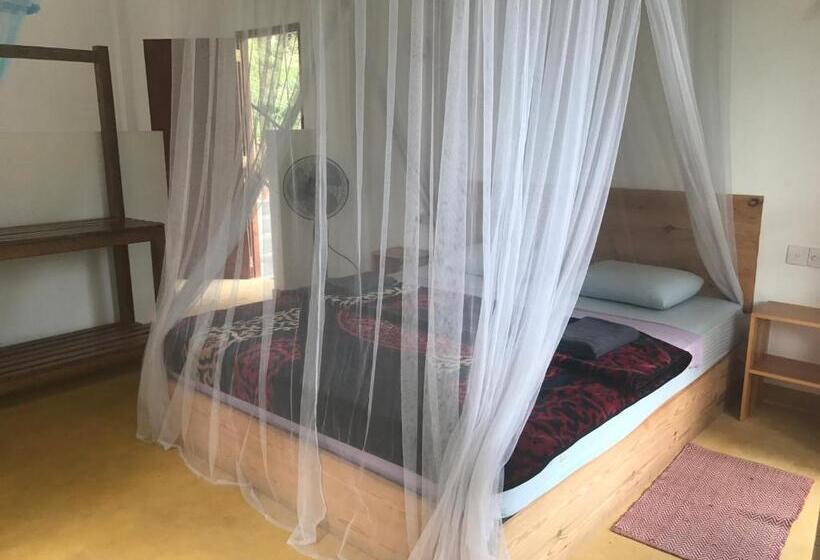 Camera Tripla Standard, Raveena Guest House