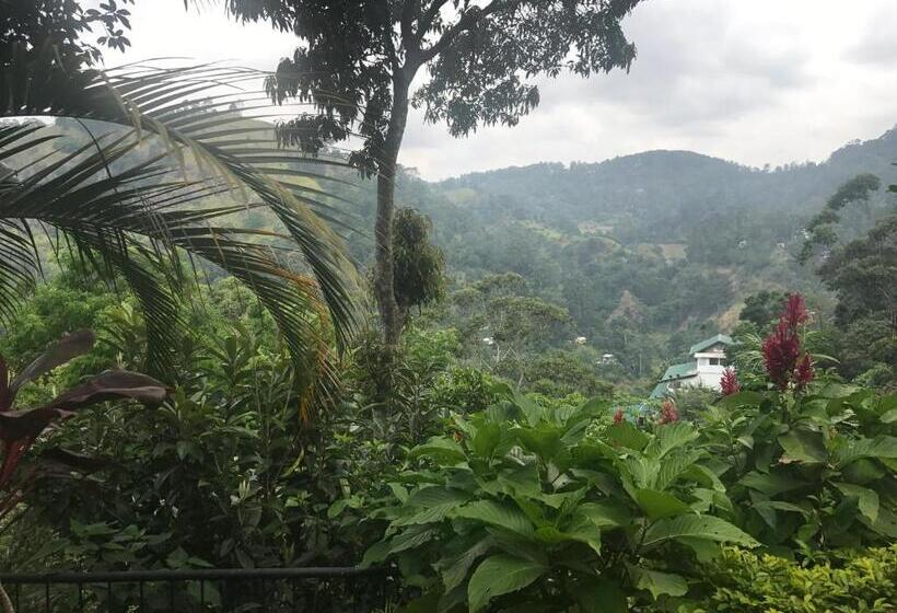 Camera Tripla Standard, Raveena Guest House