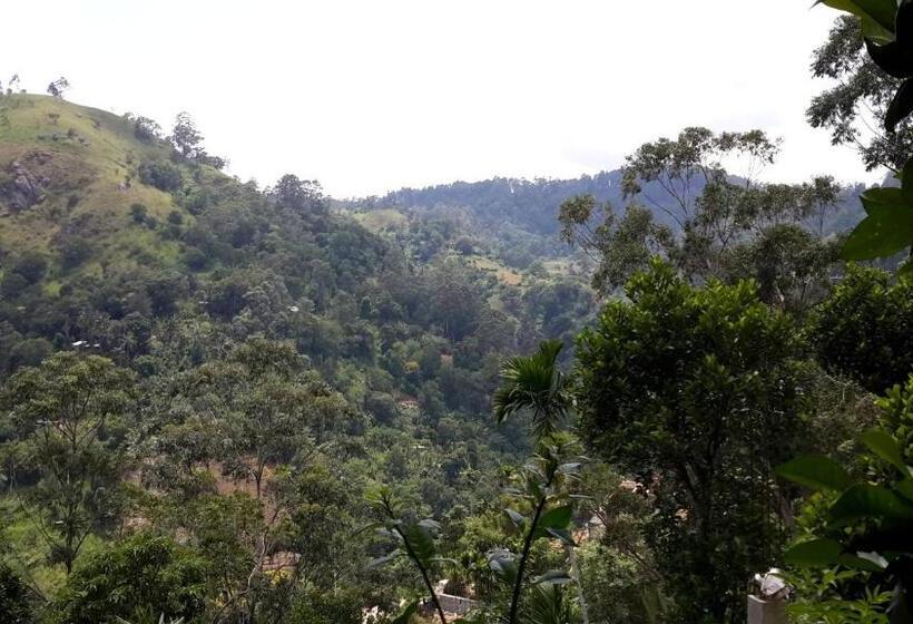 Camera Tripla Standard, Raveena Guest House