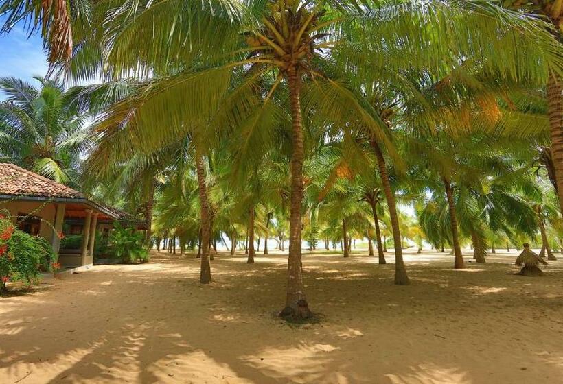 شاليه سوبيريور غرفة نوم واحدة, Mangrove Beach Chalets