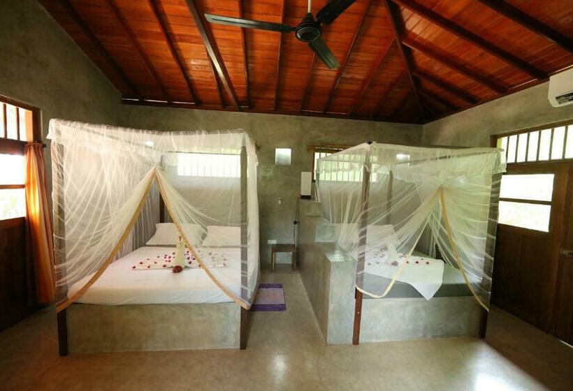 シャレー・スペリアー1寝室, Mangrove Beach Chalets