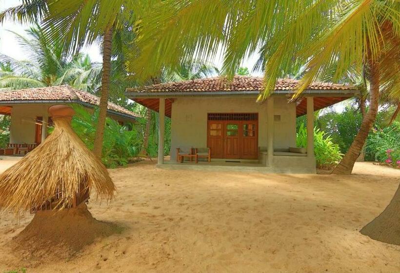 シャレー・スペリアー1寝室, Mangrove Beach Chalets