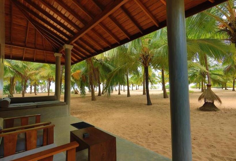 シャレー・スペリアー1寝室, Mangrove Beach Chalets