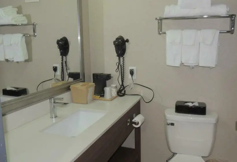 Standard-huone, Quality Inn Rochester West