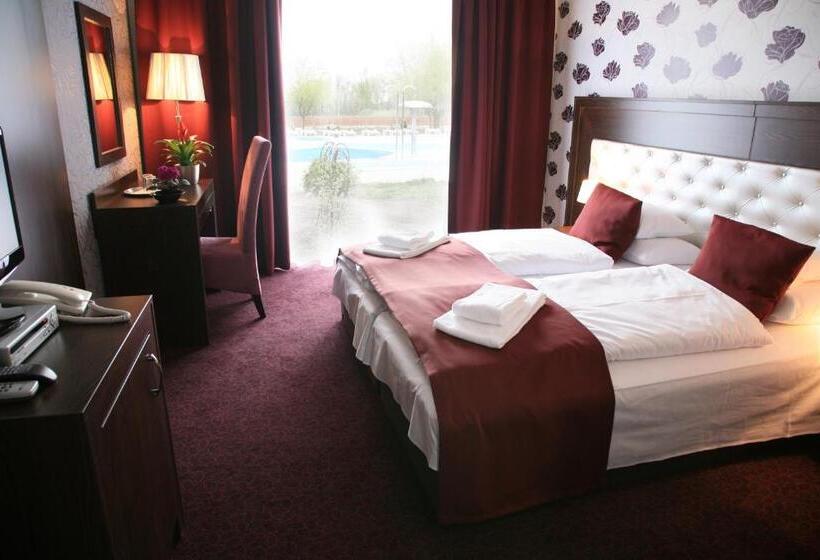 חדר סטנדרט נוף לגינה, Session Hotel Ráckeve