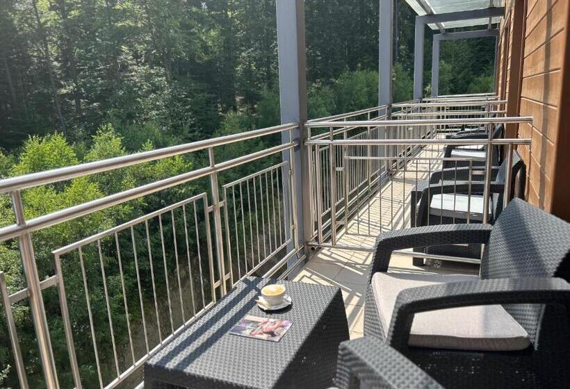 اتاق استاندارد یک تخته برای معلولان, Krynica Conference & Spa