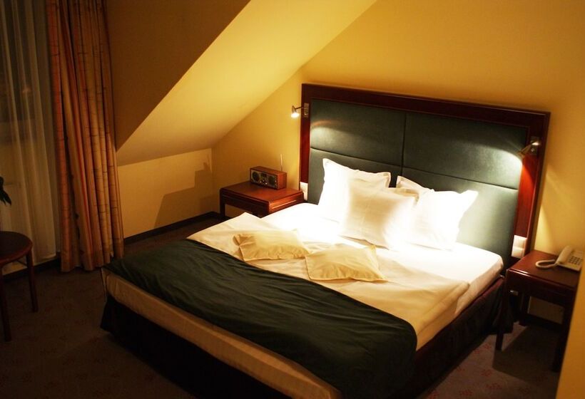 اتاق استاندارد یک نفره, Wilga By Katowice Airport