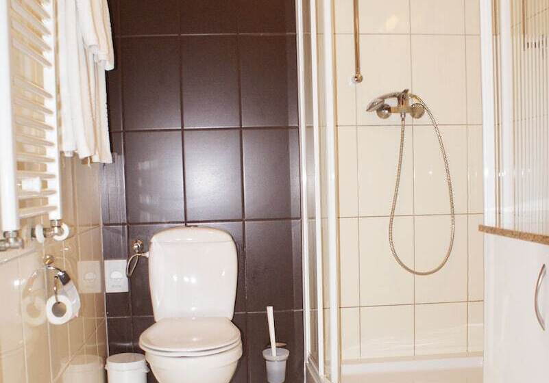 اتاق استاندارد, Wilga By Katowice Airport