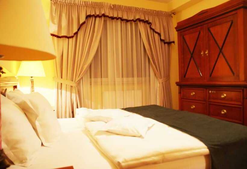 اتاق استاندارد, Wilga By Katowice Airport