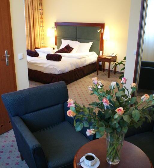 اتاق استاندارد یک نفره, Wilga By Katowice Airport