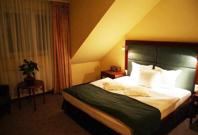 اتاق استاندارد یک نفره, Wilga By Katowice Airport