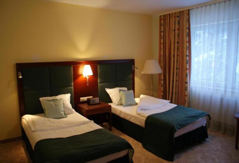 اتاق استاندارد, Wilga By Katowice Airport