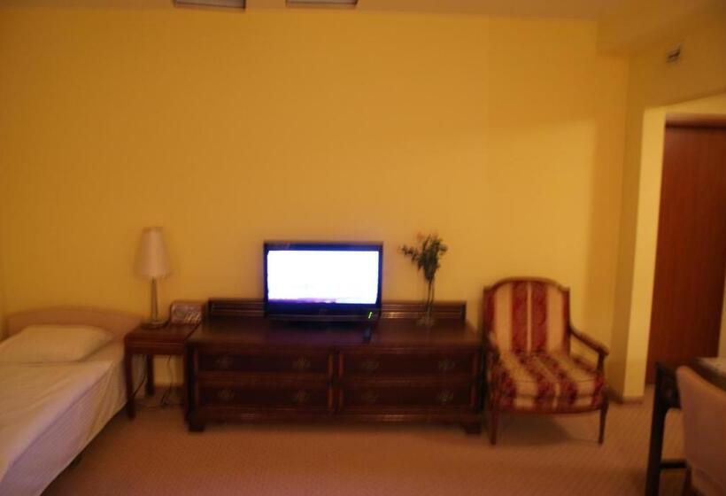 اتاق استاندارد سه نفره, Wilga By Katowice Airport