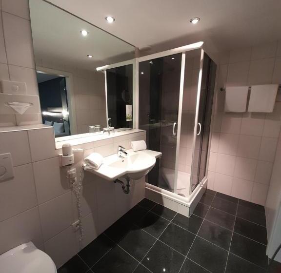 스탠다드 룸, Panorama Hotel Am Rosengarten