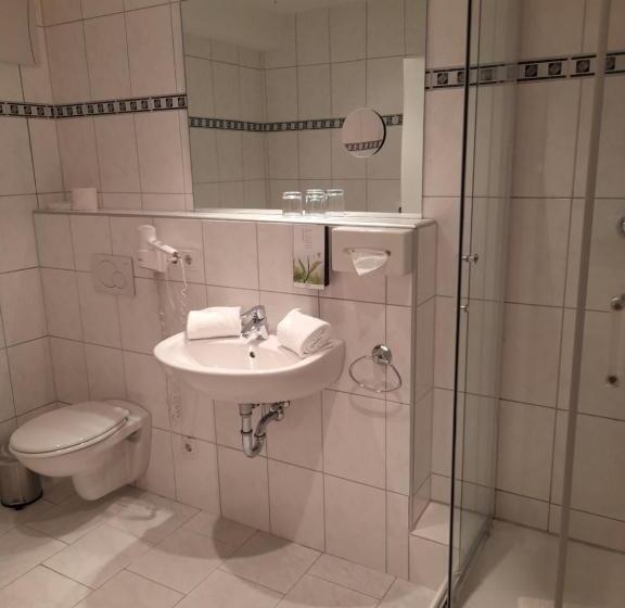 스탠다드 싱글 룸, Panorama Hotel Am Rosengarten