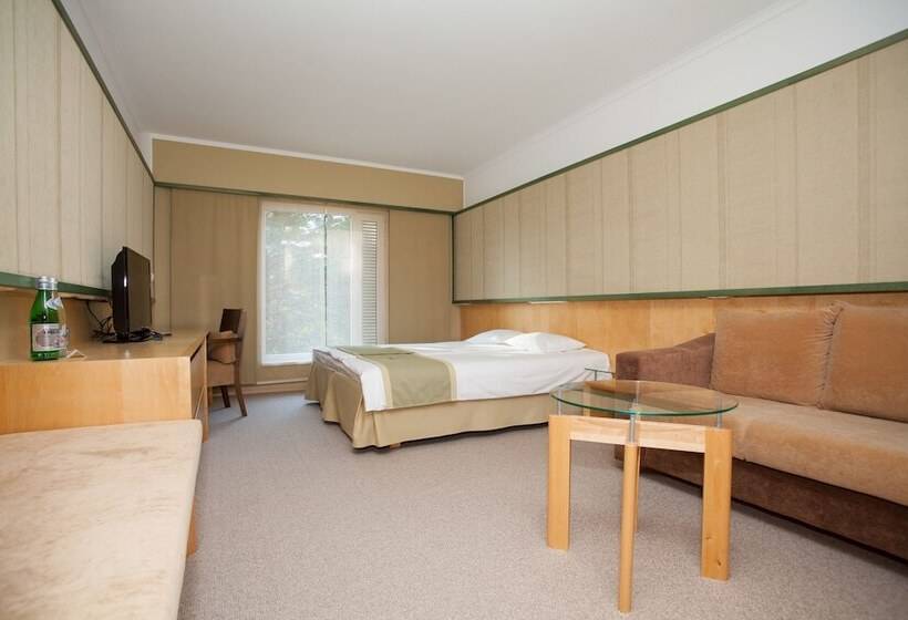 اتاق سوپریور, Saaremaa Rannahotell   Beach