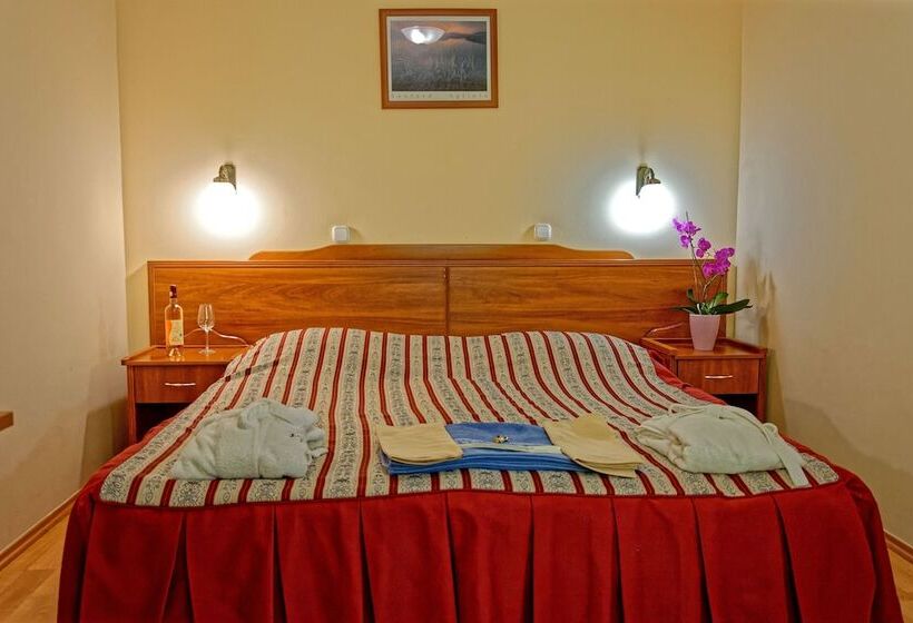 Номер Стандарт, Fried Kastély Hotel Simontornya