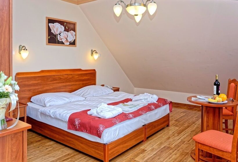 Номер Стандарт, Fried Kastély Hotel Simontornya