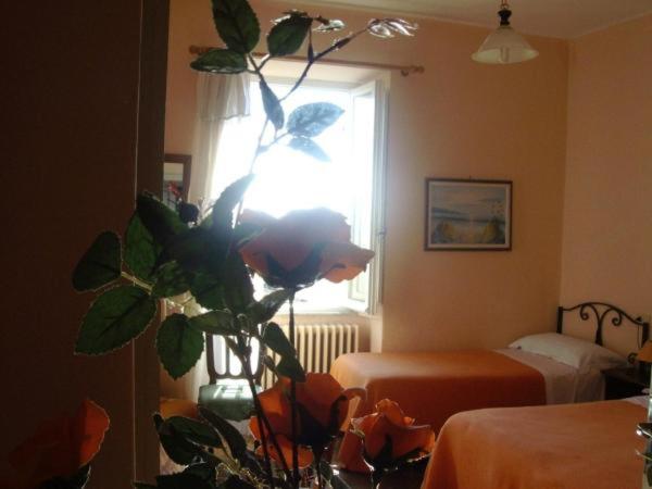 Chambre Standard, Albergo Anna