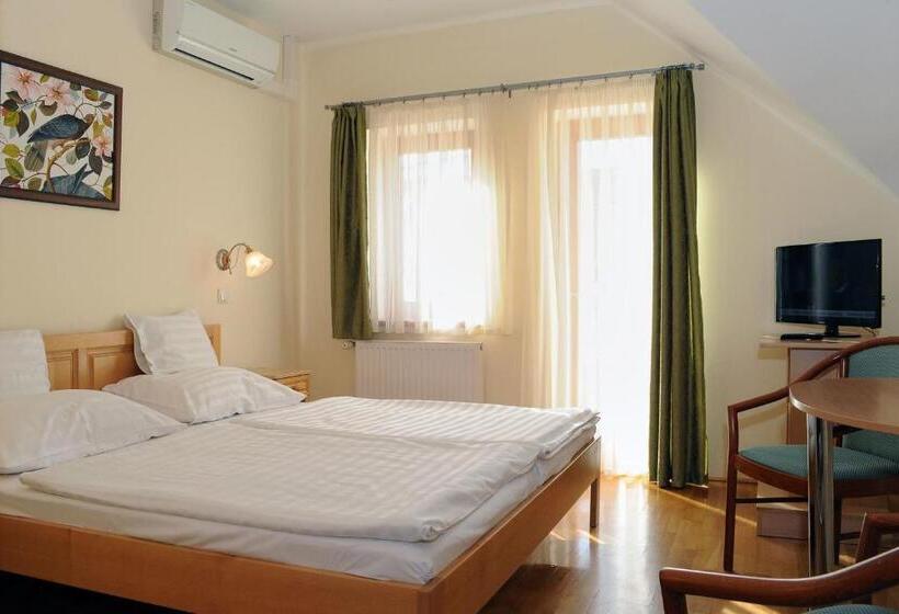 スタンダードルーム, Ametiszt Hotel Harkány