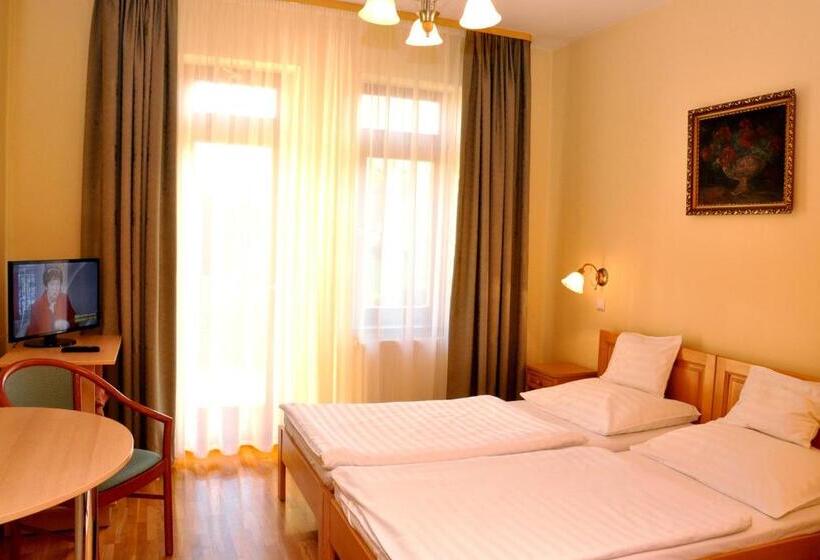 コンフォートルーム, Ametiszt Hotel Harkány