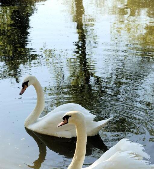 豪华房间, Castello Montegiove