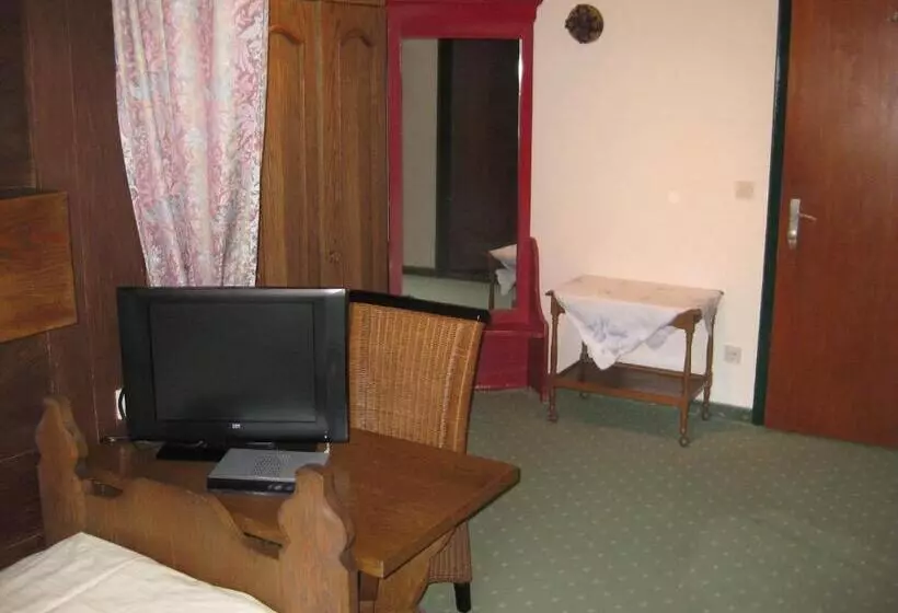 اتاق استاندارد, Panoramahotel Karwendelhof