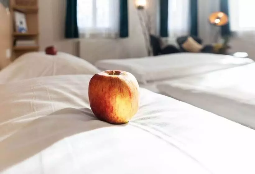 スタンダードルーム, Campuszwei   Hotel & Boardinghouse