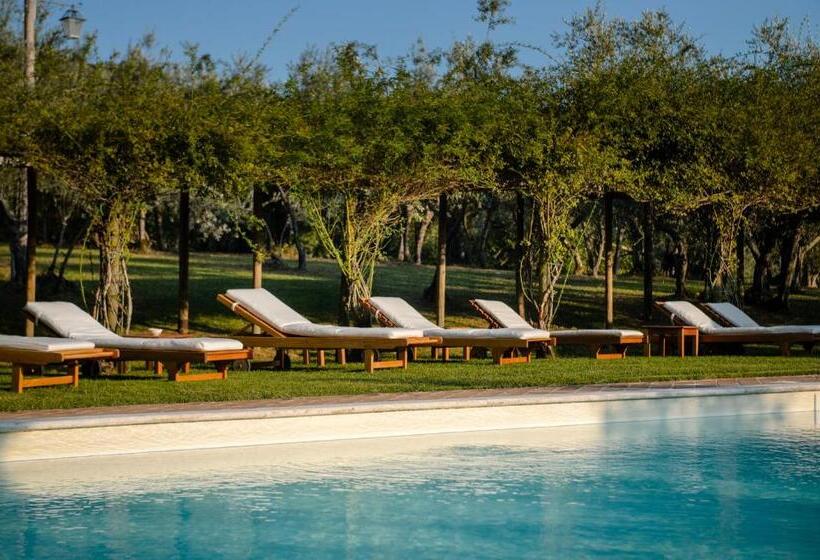 منزل غرفة نوم واحدة, Agriturismo San Gallo