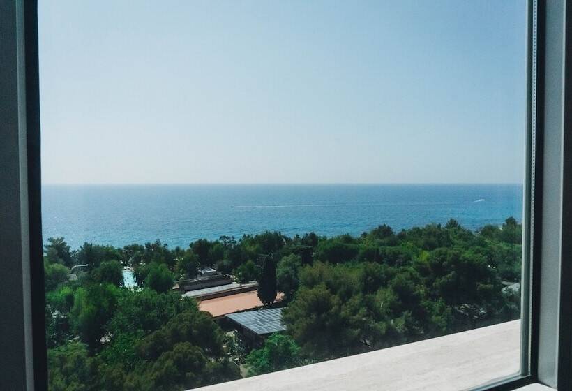 带海景的标准房, Bobby Executive