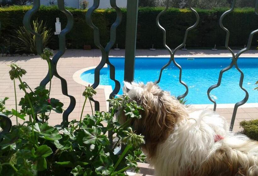 标准间带湖景, Fornaci