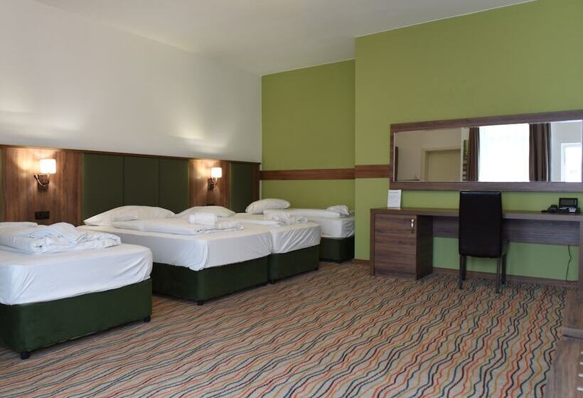 4인용 스탠다드 룸, Olive Inn