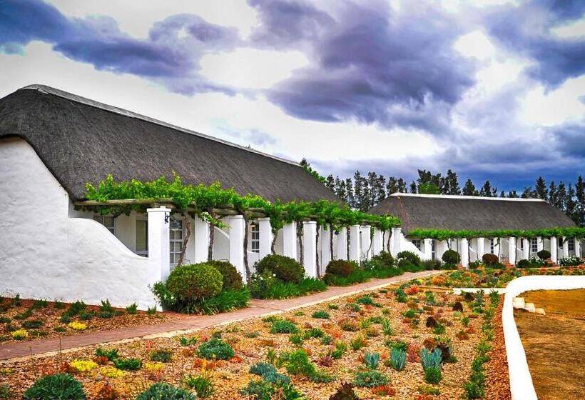 חדר סטנדרט, Rijk S Wine Estate &