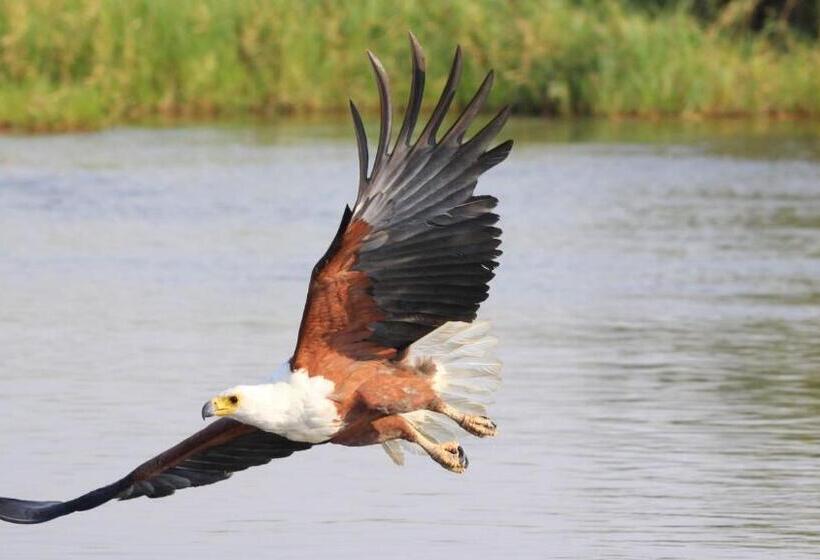 בקתת חדר, Rijk S Wine Estate &