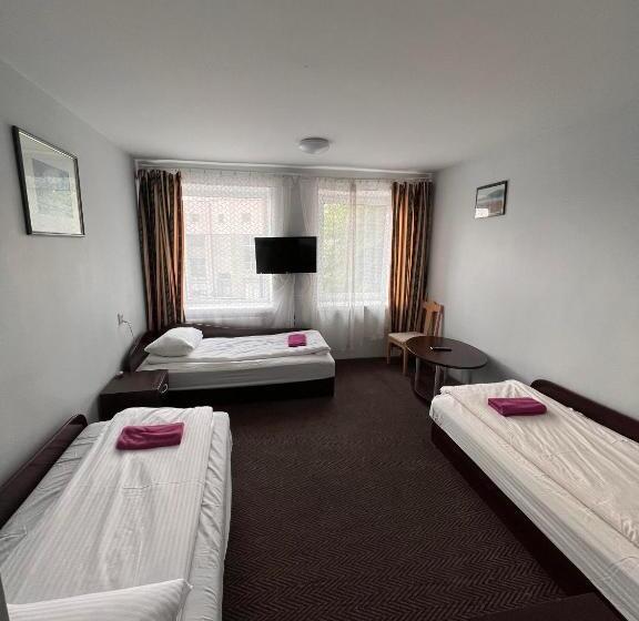 اتاق استاندارد سه نفره, Dzukija