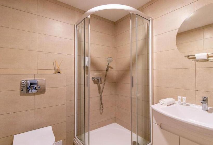 اتاق استاندارد, Dzukija